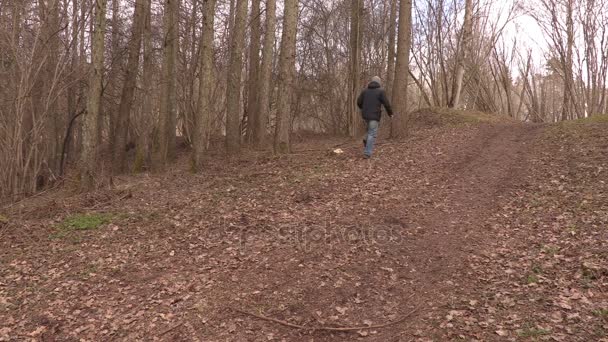 Mann sucht Platz für Vogelhaus — Stockvideo