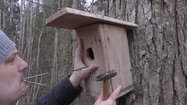 Férfi birdhouse, a kalapács és a körmök fa közelében — Stock videók