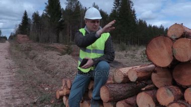 Günlük yığının üstüne oturan ve konuşurken oduncu