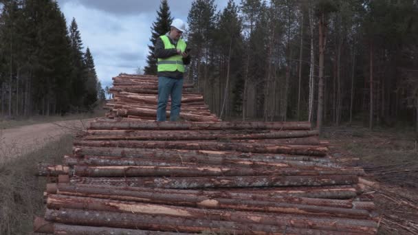 Lumberjack in the woods on a log pile — Stock Video