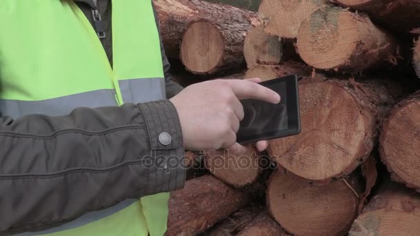 Lumberjack використовує планшет і камеру, фокусуючись на журналах — стокове відео