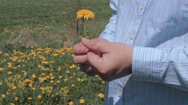 Man with dandelion at meadow — Stock Video