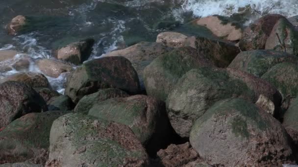Камни на берегу моря — стоковое видео