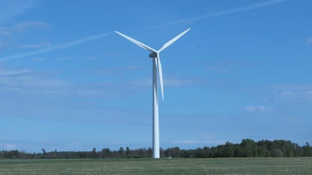 Wind turbine on the field in sunny day — Stock Video