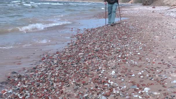 Man met wandelen stokken wandelen langs de rand van de zee — Stockvideo