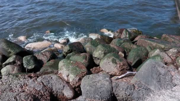 在海边高多岩石的海岸 — 图库视频影像
