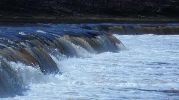Cachoeira na distância saltando peixes — Vídeo de Stock