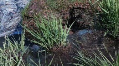 Küçük dere akar nehir