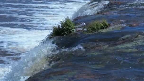 Waterval valt in de rivier in het voorjaar — Stockvideo