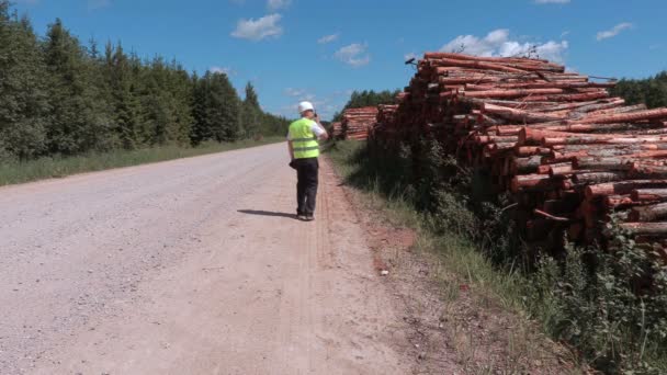 Lumberjack on walkie talkie numbering logs of pile — Stock Video