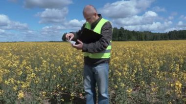 Kolza tohumu alanında ayakta ve bitkiler kontrol çiftçi