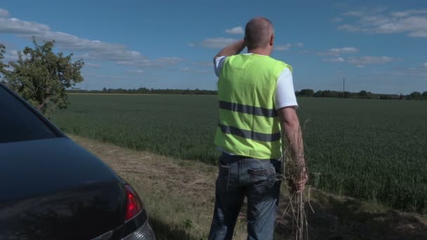 Landwirt kontrolliert das Feld — Stockvideo