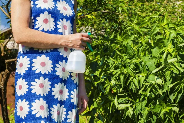 Kobieta z natrysku butelkę w pobliżu kwiaty w ogrodzie — Zdjęcie stockowe