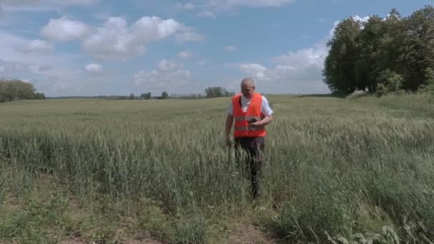 Фермер, использующий таблетки на зерновом поле — стоковое видео