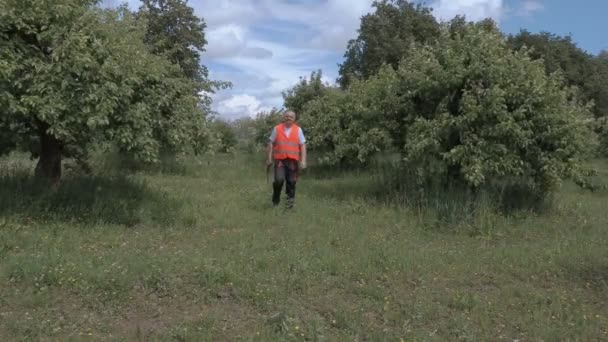 Boomgaard met handen omhoog staan in de tuin — Stockvideo