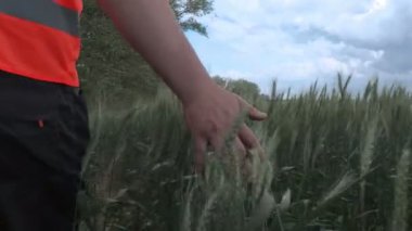 Kamera takip çiftçinin el hububat