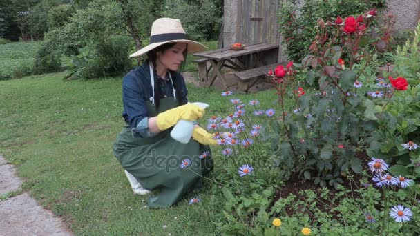 Gärtnerin mit Sprühflasche in der Nähe von Blumen — Stockvideo