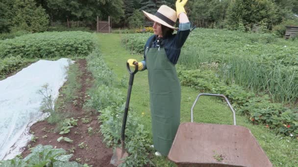 Kvinnlig trädgårdsmästare med spade spade nära skottkärra — Stockvideo