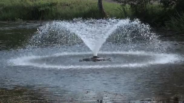 Grote fontein in de vijver — Stockvideo