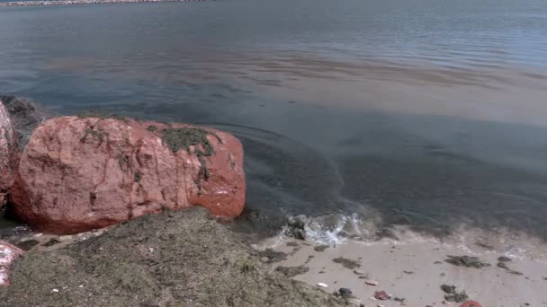 Загрязненный приморский берег в летний день — стоковое видео