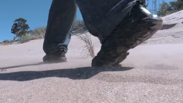 Traveler walking on sandy beach in windy day — Stock Video