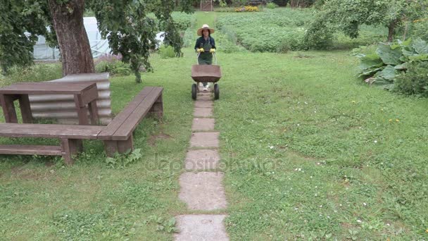 Woman gardener pushed a wheelbarrow — Stock Video