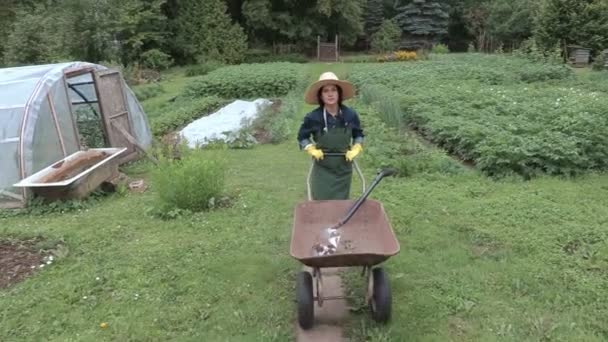 Cámara seguir mujer jardinero con carretilla — Vídeo de stock