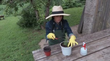 Tablo yakınındaki Demlikli kadın bahçıvan