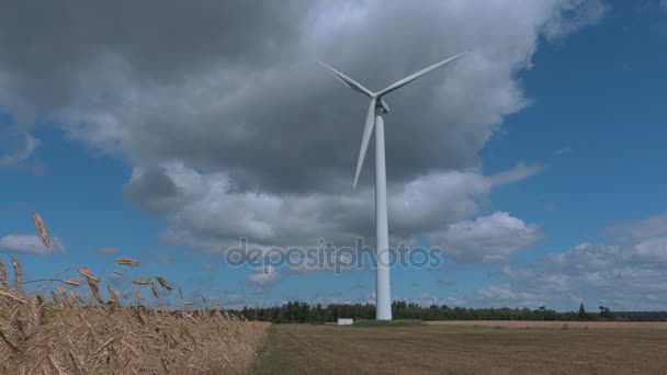Вращающаяся ветряная турбина в солнечный день — стоковое видео