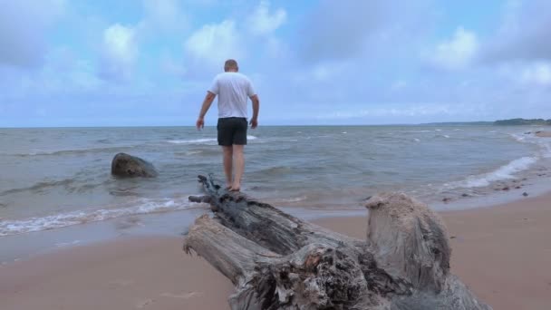 Hombre tratando de mantener el equilibrio en el árbol cerca del mar — Vídeos de Stock