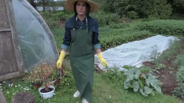 Női Kertész ellenőrzése a kertben — Stock videók