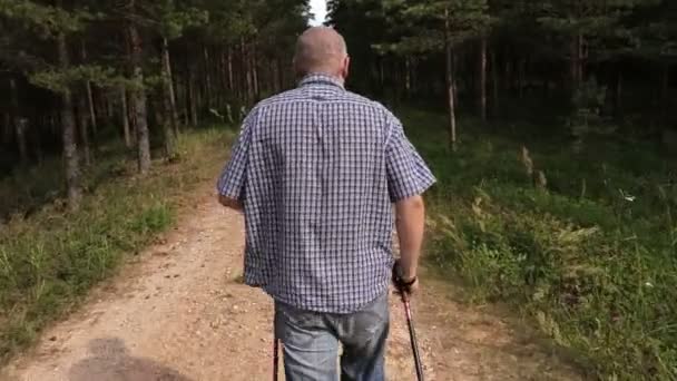 Hiker går djupare i skogen — Stockvideo