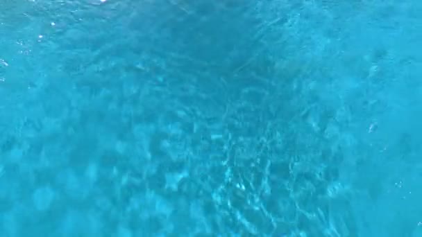 파란 수영장에 물 — 비디오