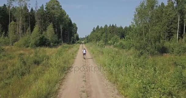 Caminhante na estrada da floresta — Vídeo de Stock