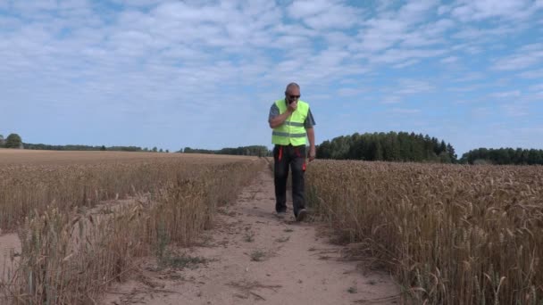 Rolnik na polu zbóż z walkie talkie — Wideo stockowe