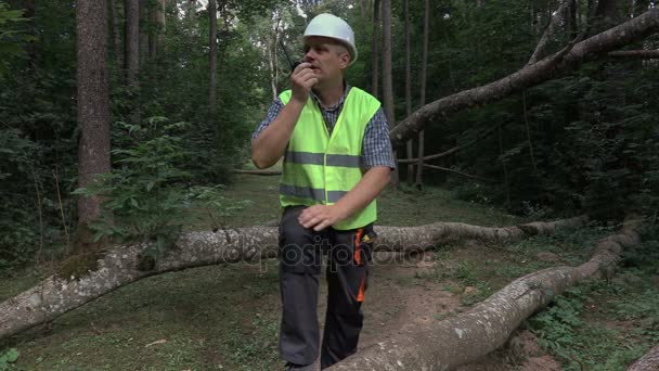 Trabalhador com walkie talkie perto de árvores caídas — Vídeo de Stock