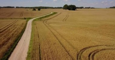 Mısır gevreği sahada kamera artar