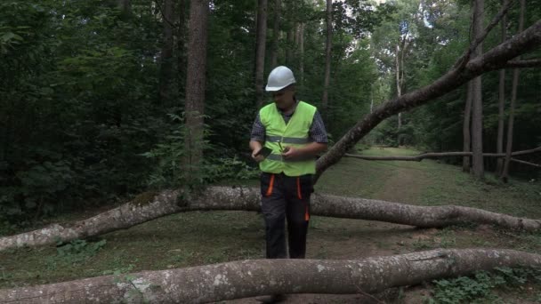 Arbetstagare som använder åtgärden tejp och tablett nära fallna träd — Stockvideo