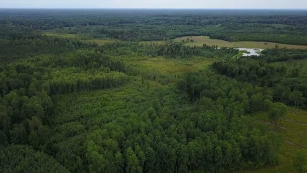 Vue sur la campagne avec des arbres — Video