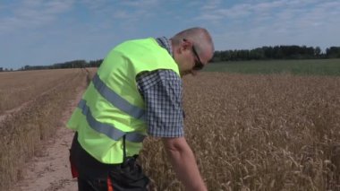 Tablet ve tahıl kulağı sahada olan çiftçi