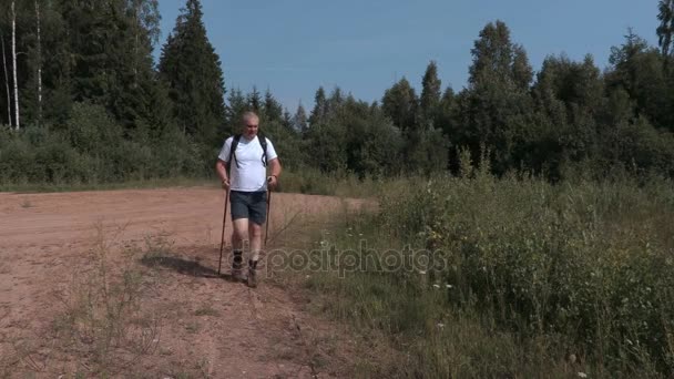 Wandelaar natuur kijken in zomerdag — Stockvideo