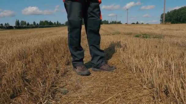 Agricultor con la tableta en el campo en verano — Vídeos de Stock