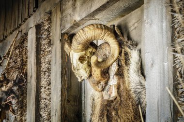 Yaz günü düz paslı demiryolu