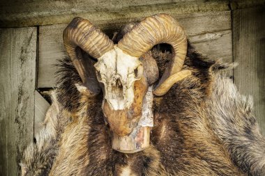 Yaz günü düz paslı demiryolu