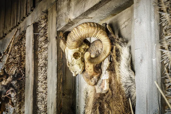 Yaz günü düz paslı demiryolu