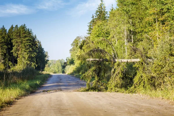 Yaz günü düz paslı demiryolu