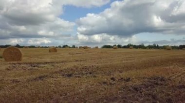 Sahada saman balyaları