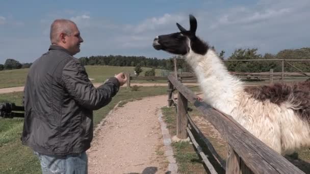 Uomo con mela vicino lama — Video Stock