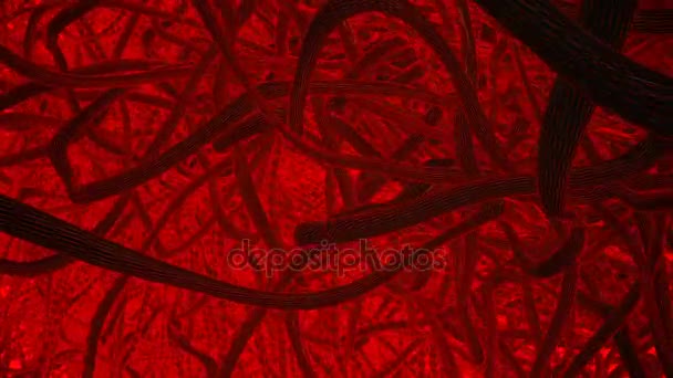 Абстрактные щупальца в черном на красном — стоковое видео