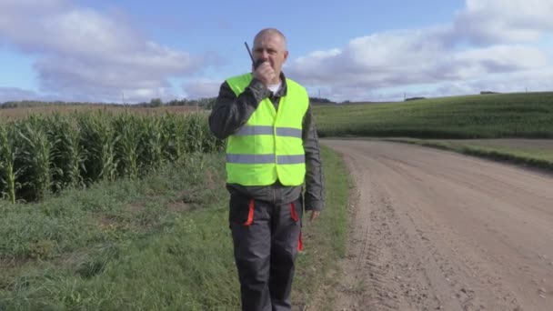 Фермер с рацией на дороге на кукурузном поле — стоковое видео